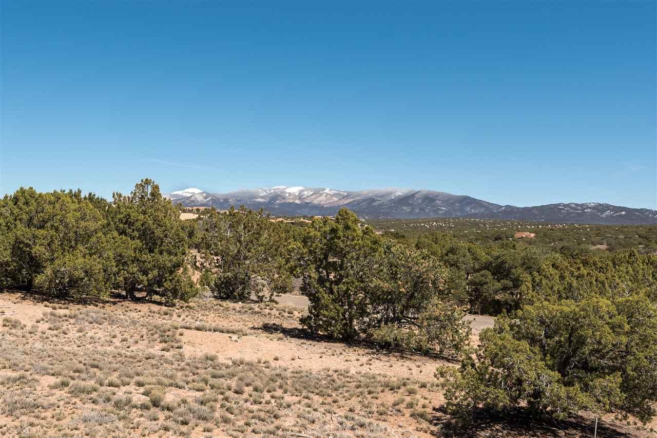 3 Goldpoppy Circle, Lot 196 - Photo 1