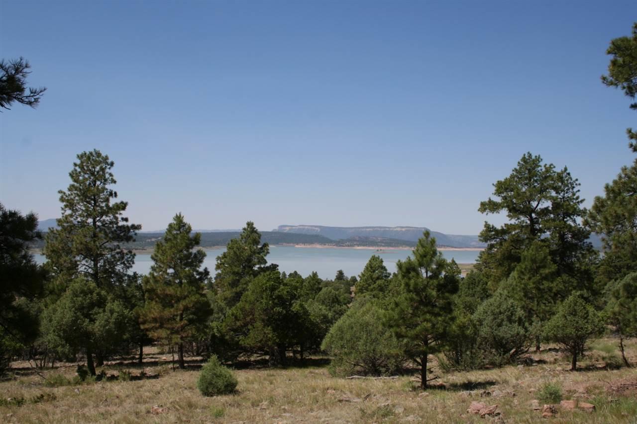 Off Canyon Drive - Photo 1