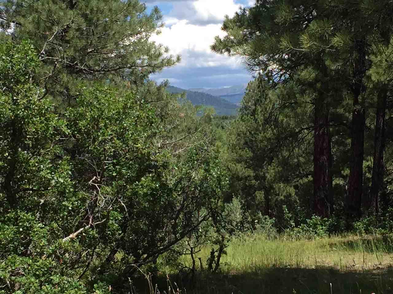 23A Indian Paintbrush Dr - Photo 1
