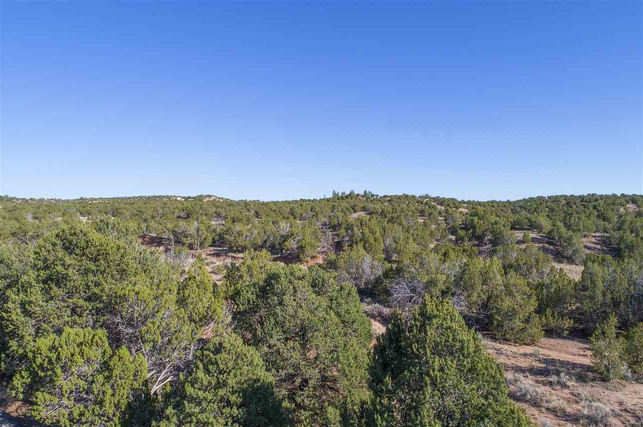 70 Estrada Calabasa East Lot 58 - Photo 1
