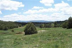 Unit 5 Tracts 31, 34, Ponderosa - Photo 1