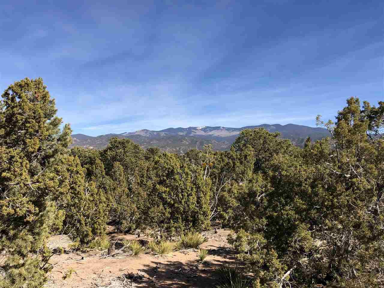 2944 Aspen View - Lot 174 - Photo 1