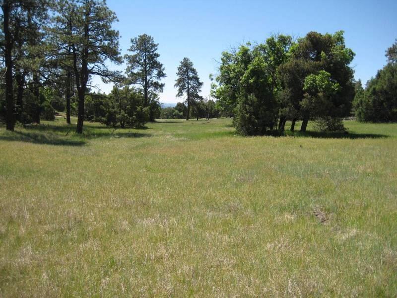 LOT 65 Rim Drive, Laguna Vista - Photo 1 LOT 65 Rim Drive, Laguna Vista - Photo 1