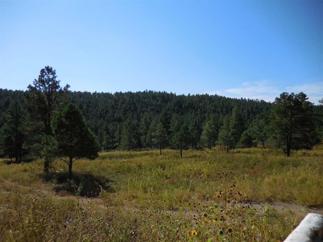 11 Highway 518 - Photo 1