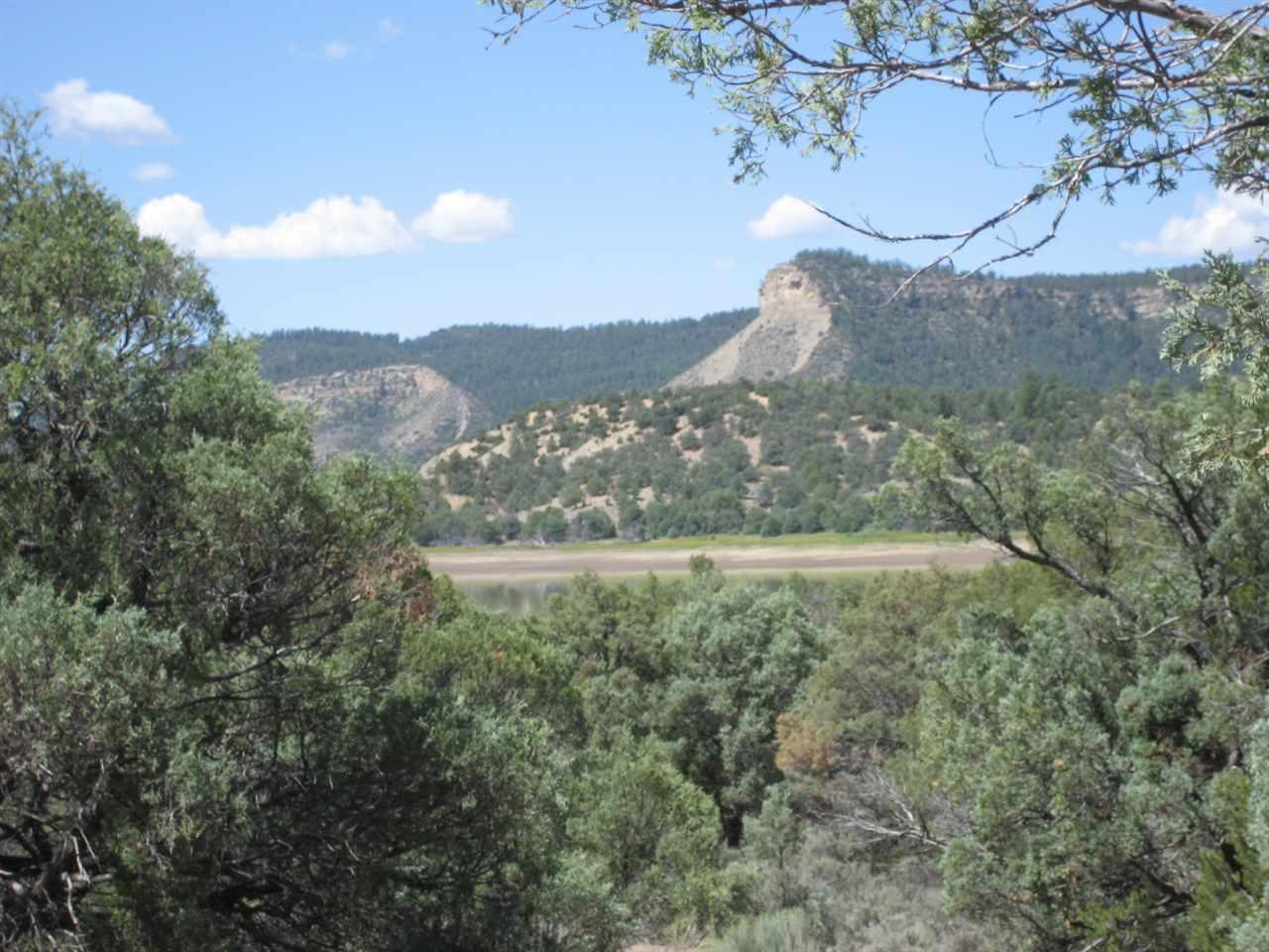 TBD Juniper Lane, Pinion Ridge - Photo 1