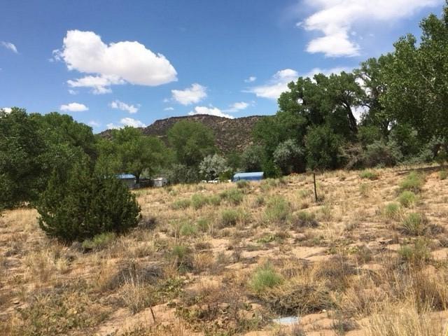 10.572 acres Private Drive 1547A - Photo 1