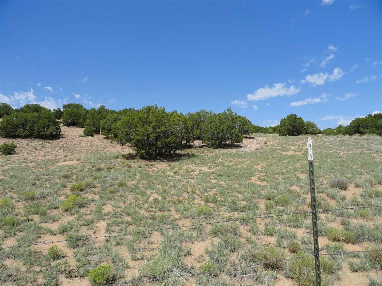 27 Nancy's Trail - Photo 1