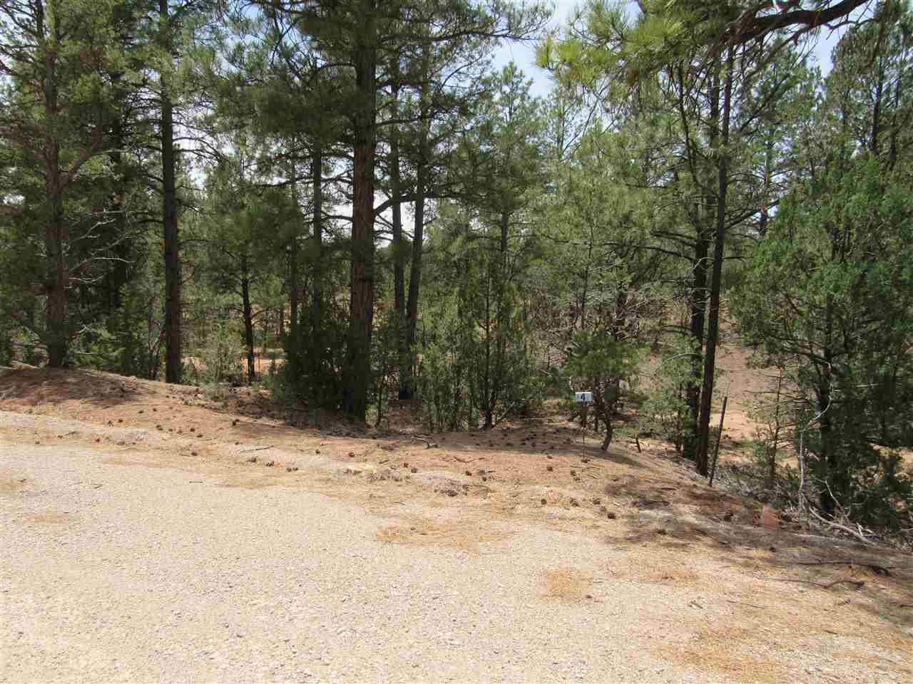 33 Avenida Mercedes - Photo 1