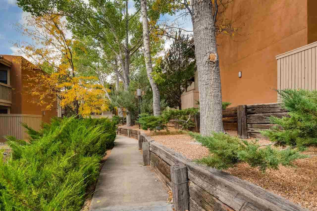 941 Calle Mejia #804 - Photo 1