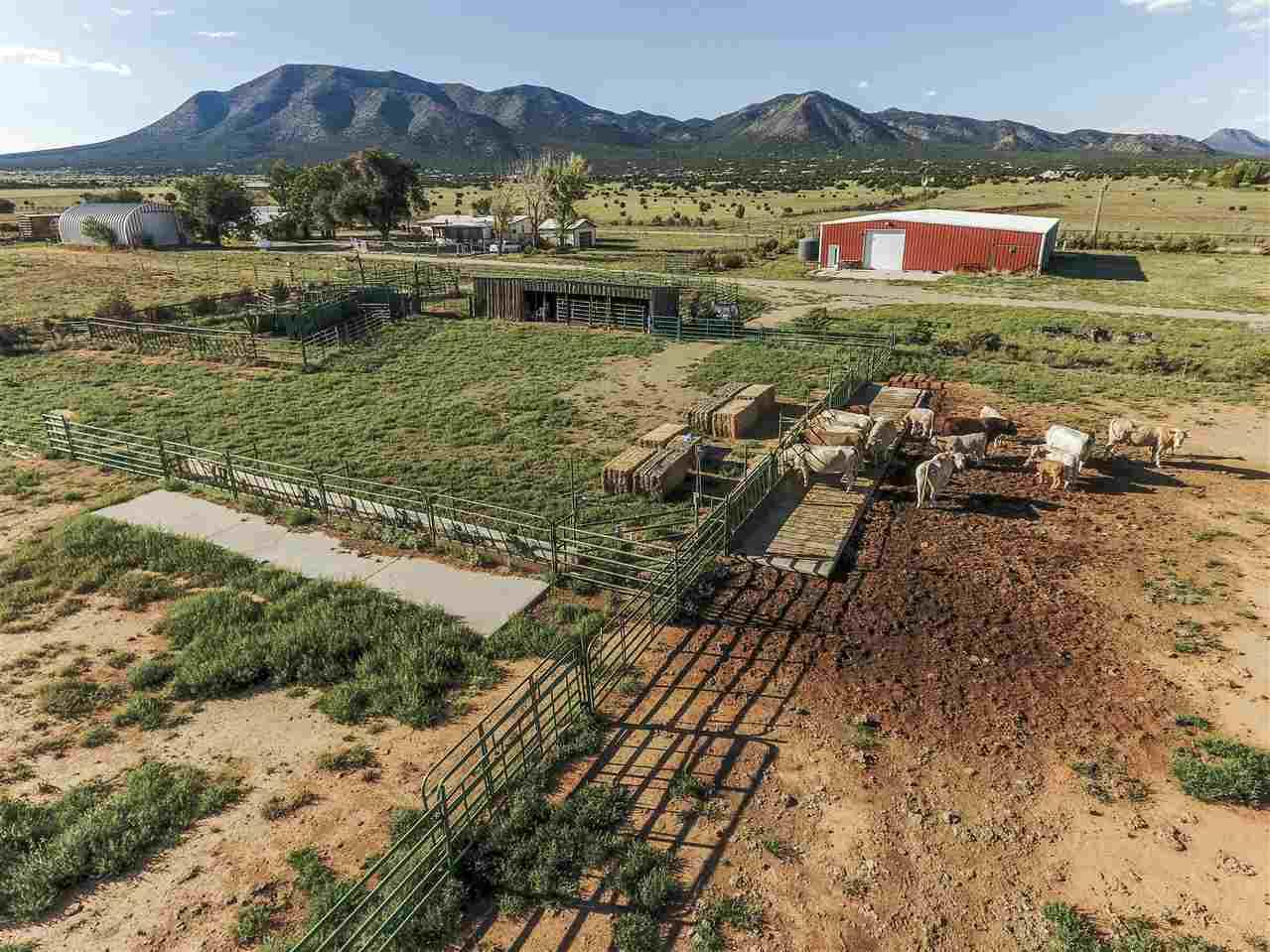 61 Moonbeam Ranch Rd #A - Photo 1
