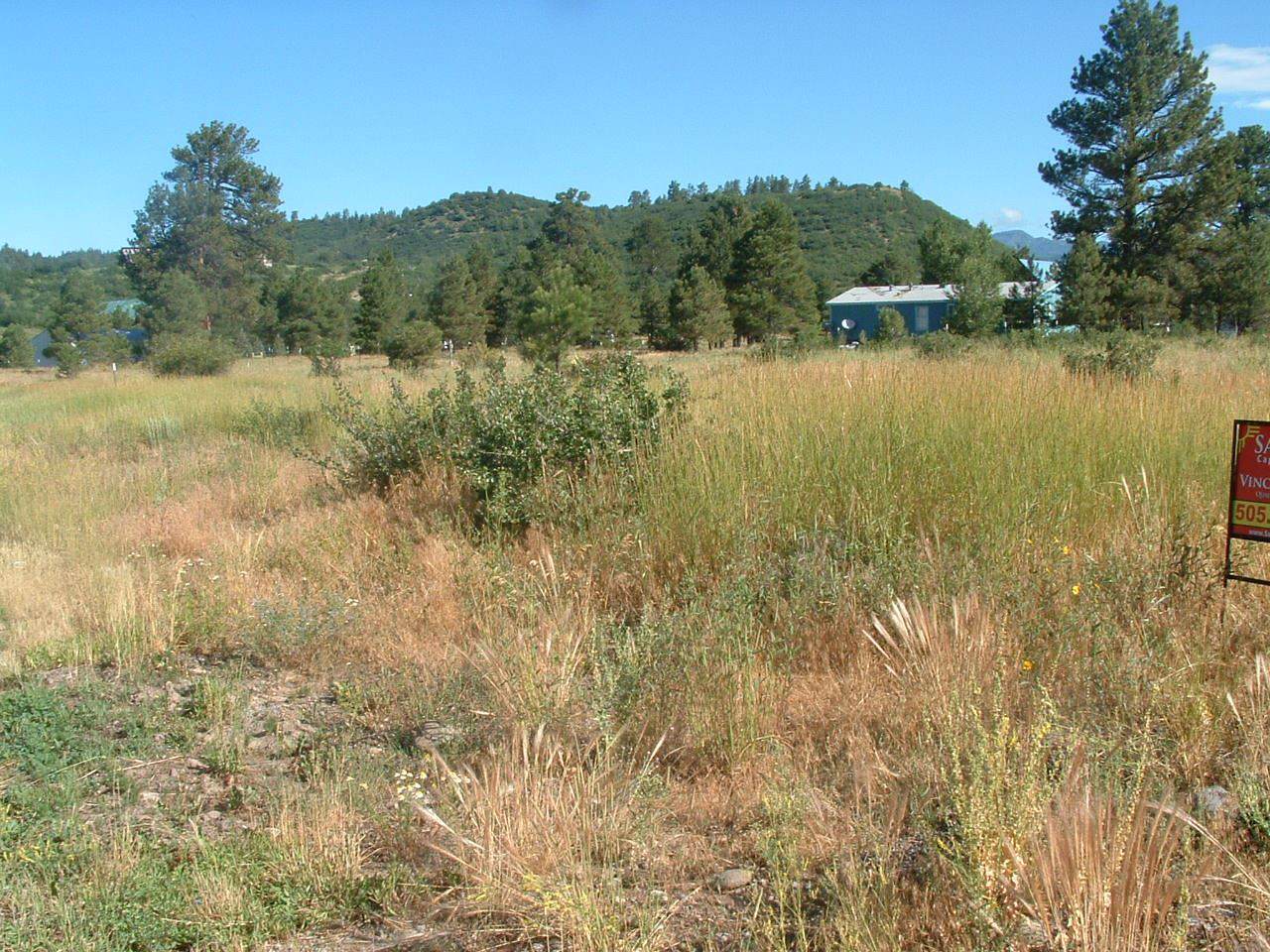 Lot 21 Tierra Grande Rd - Photo 1