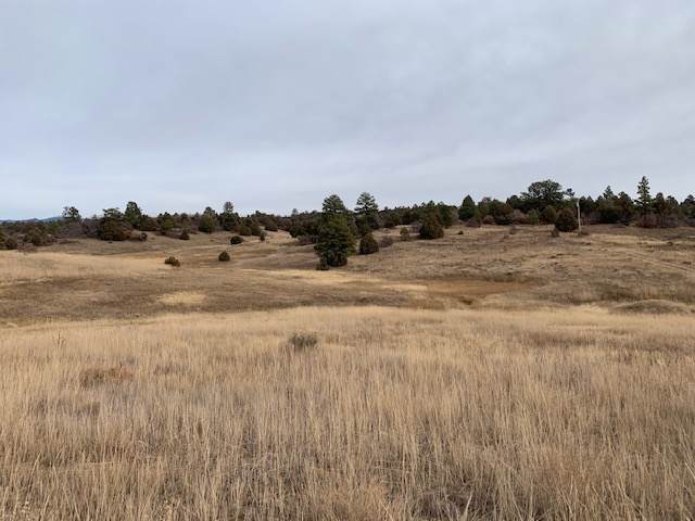 Lot 16 Deer Trail Chama West - Photo 1 Lot 16 Deer Trail Chama West - Photo 1