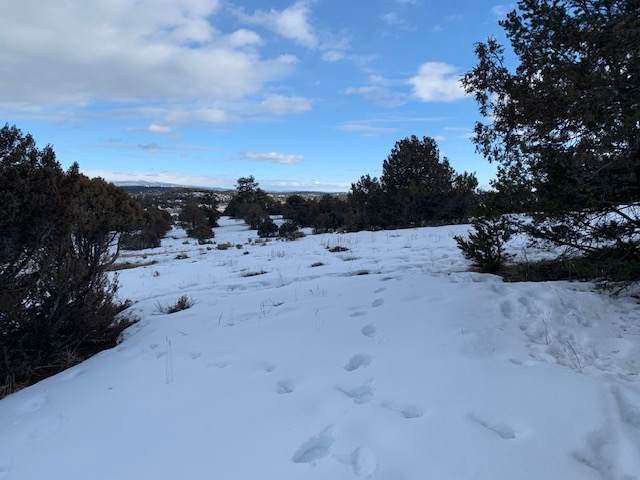 4.27 Ac Laguna Vista - Photo 1