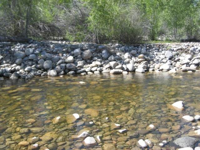 East Tract Nmsr 512, Cottonwood Tracts - Photo 1