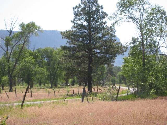 West Tract Cottonwood Tracts, Nmsr 512 - Photo 1