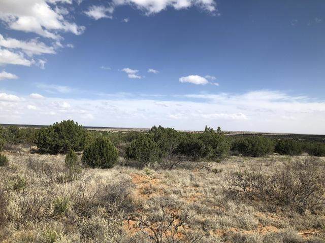 1200 Blue Hole Road - Photo 1