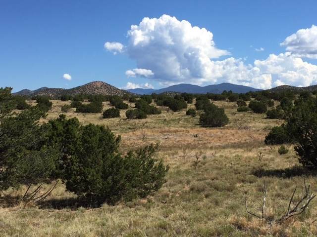 Lot 15 Cielo Colorado - Photo 1