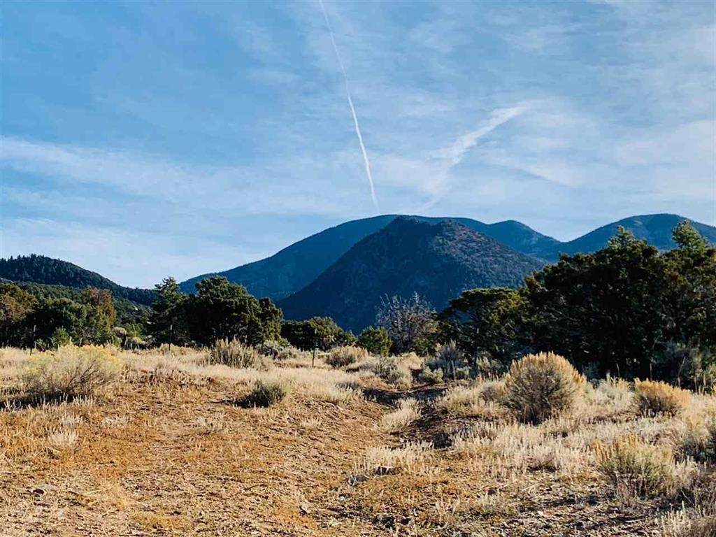 off La Ceja Rd - Photo 1