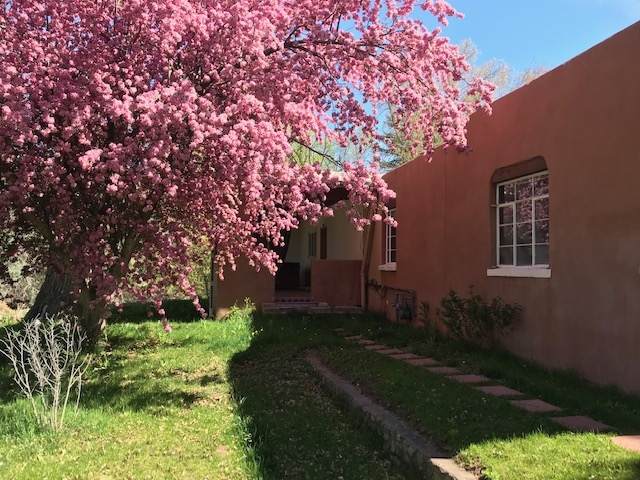 1447 Bishops Lodge - Photo 1