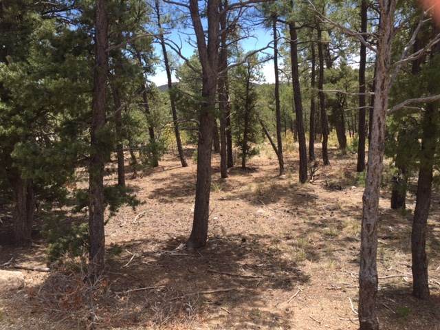 6 Red Tail Ridge - Photo 1