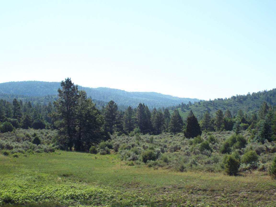 Lot 46, Tract 2 Tierra Grande - Photo 1