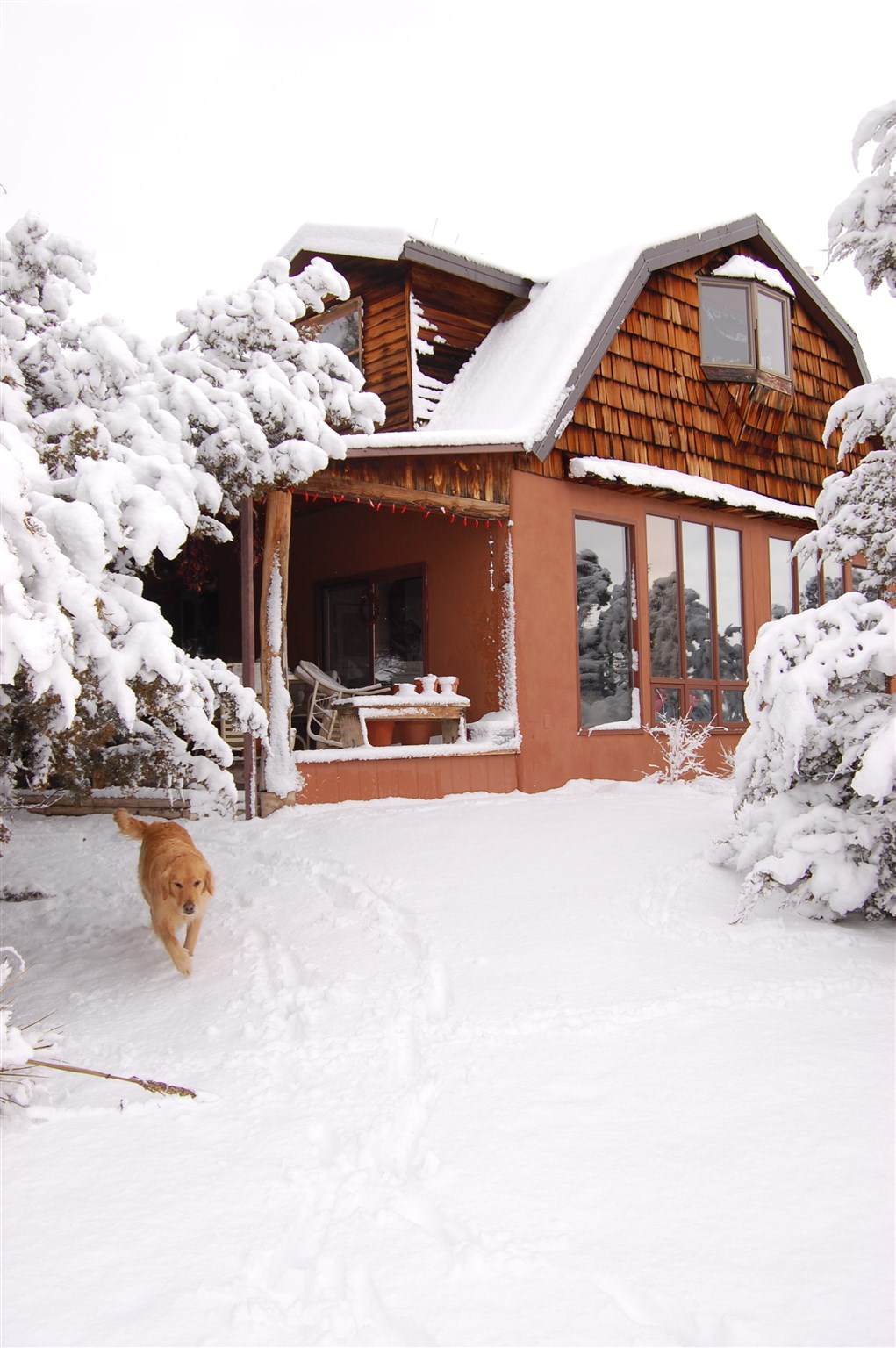16 Sunset Road - Photo 1
