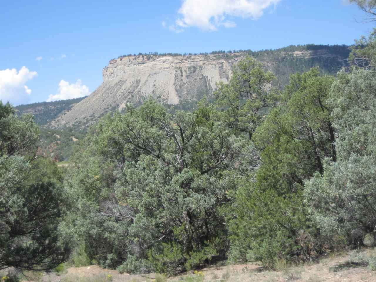 0 Juniper Road, Pinon Ridge - Photo 1