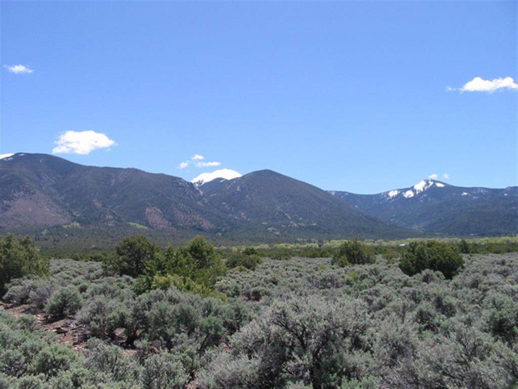 Tr B3-A Jedediah Rd - Photo 1