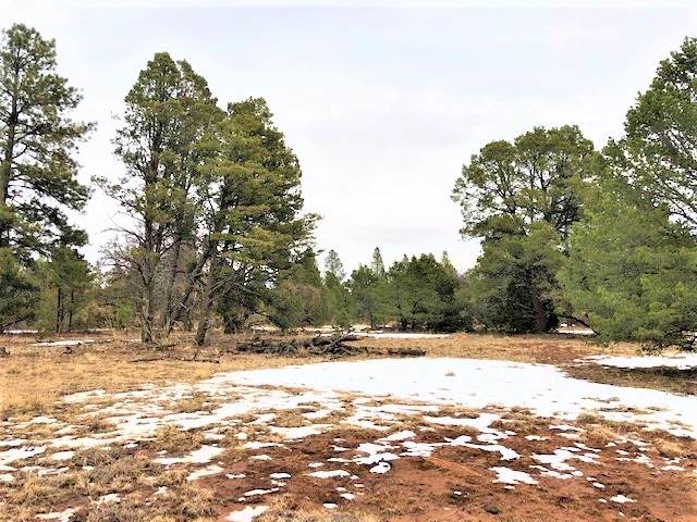 Lot 2 Hermit's Peak Ranches - Photo 1