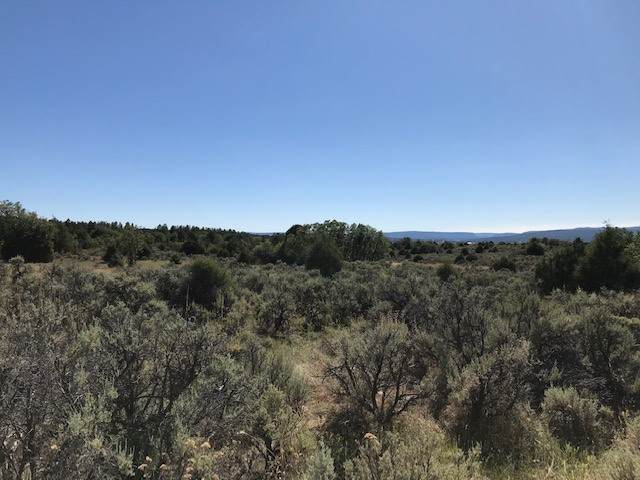 TBD Off Us Highway 64 West - Photo 1
