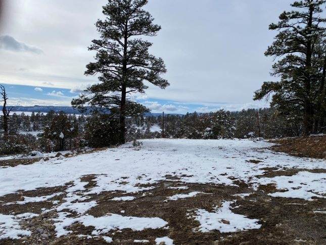 TBD Canyon Dr - Photo 1