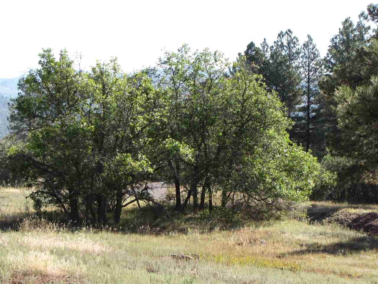 0 Tract 1, Lakes On The Chama - Photo 1