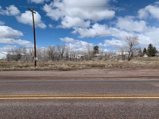 0 South Hwy 84 - Photo 1