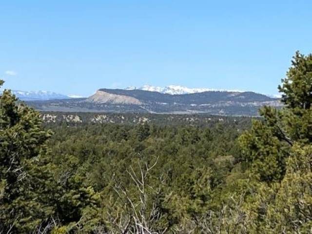 TBD County Road 312 - Photo 1