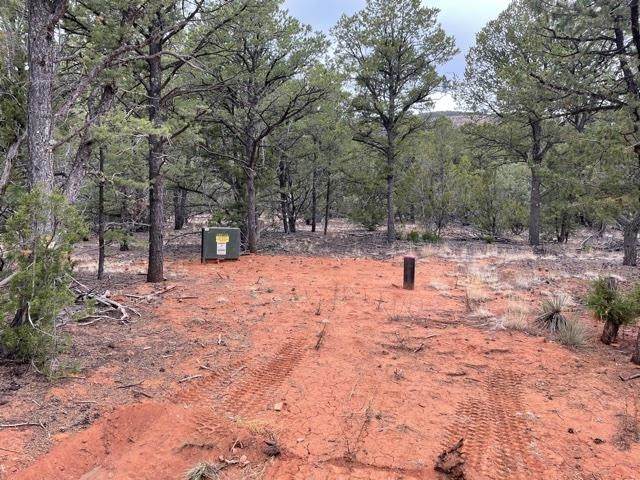 95 Wildflower Lane - Photo 1