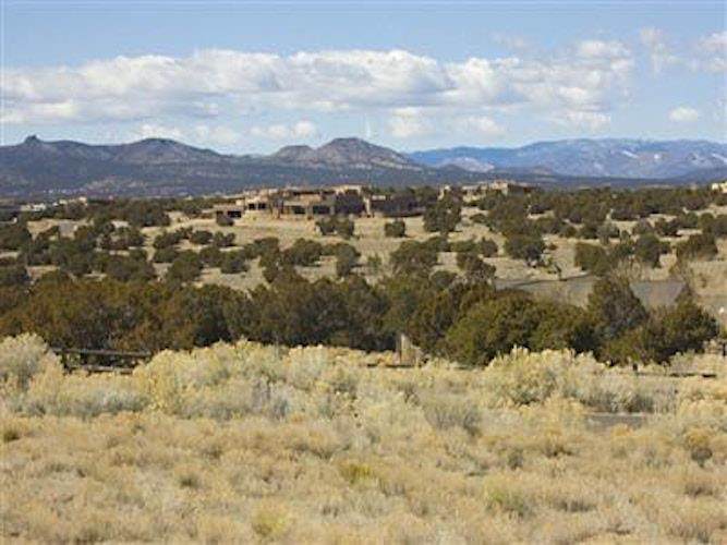 6 Buckskin - Photo 1