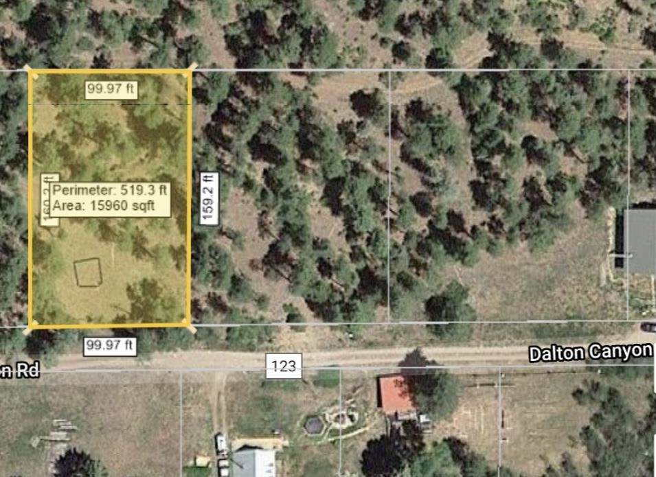 293 Dalton Canyon Rd - Photo 1