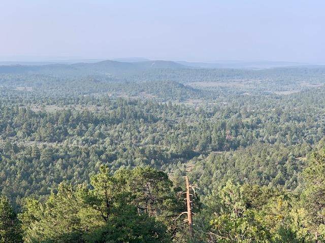0 Tierra Bonita - Photo 1
