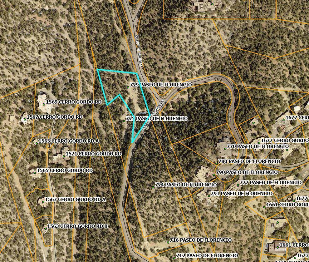 729 Paseo De Florencio - Photo 1