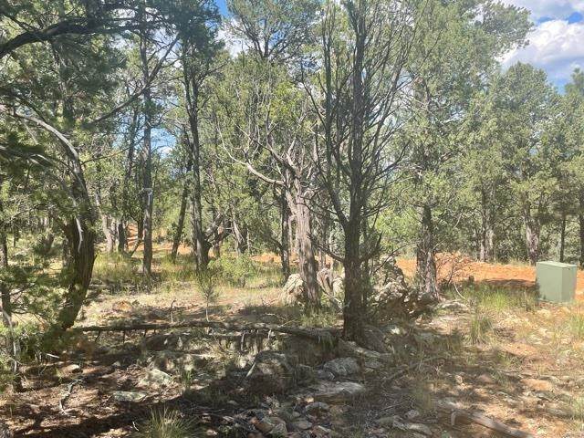 Lot 5B4 Wildflower Lane - Photo 1