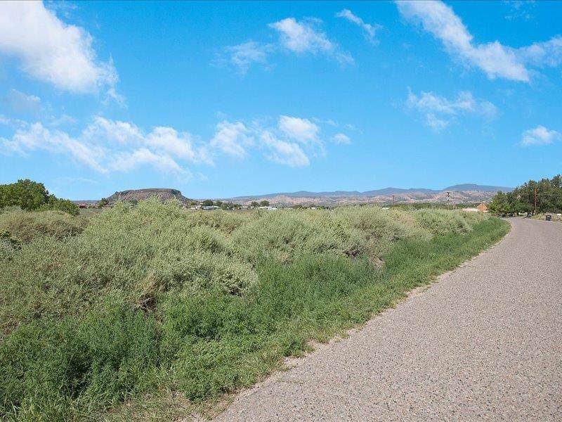 Tract 3 County Rd 126 - Photo 1