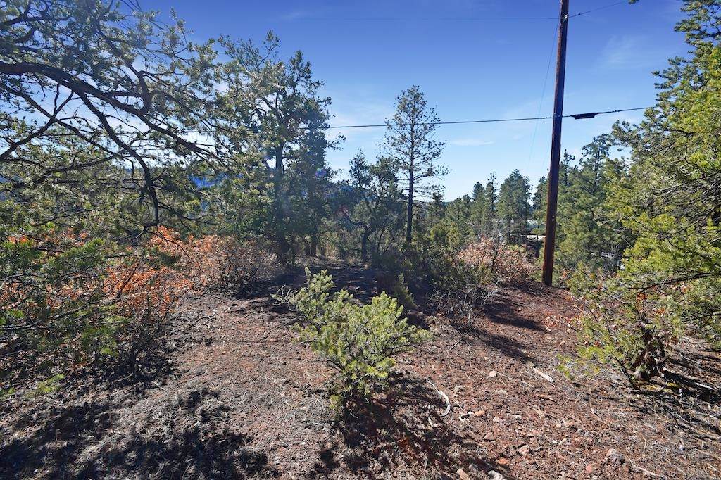 Lot 4-B Ponderosa Drive - Photo 1
