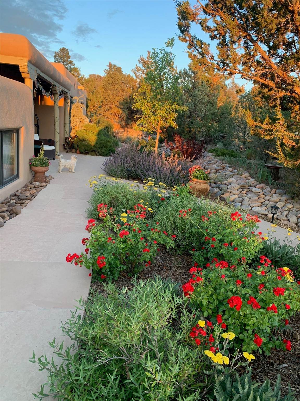 2021 Conejo Drive Drive - Photo 1