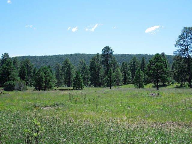 Lot 17 Five Bar Ranch - Photo 1