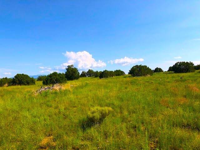 187 Campfire Road - Photo 1