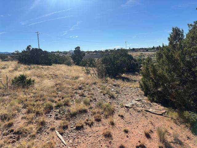 1868 Paseo De Enrique - Photo 1