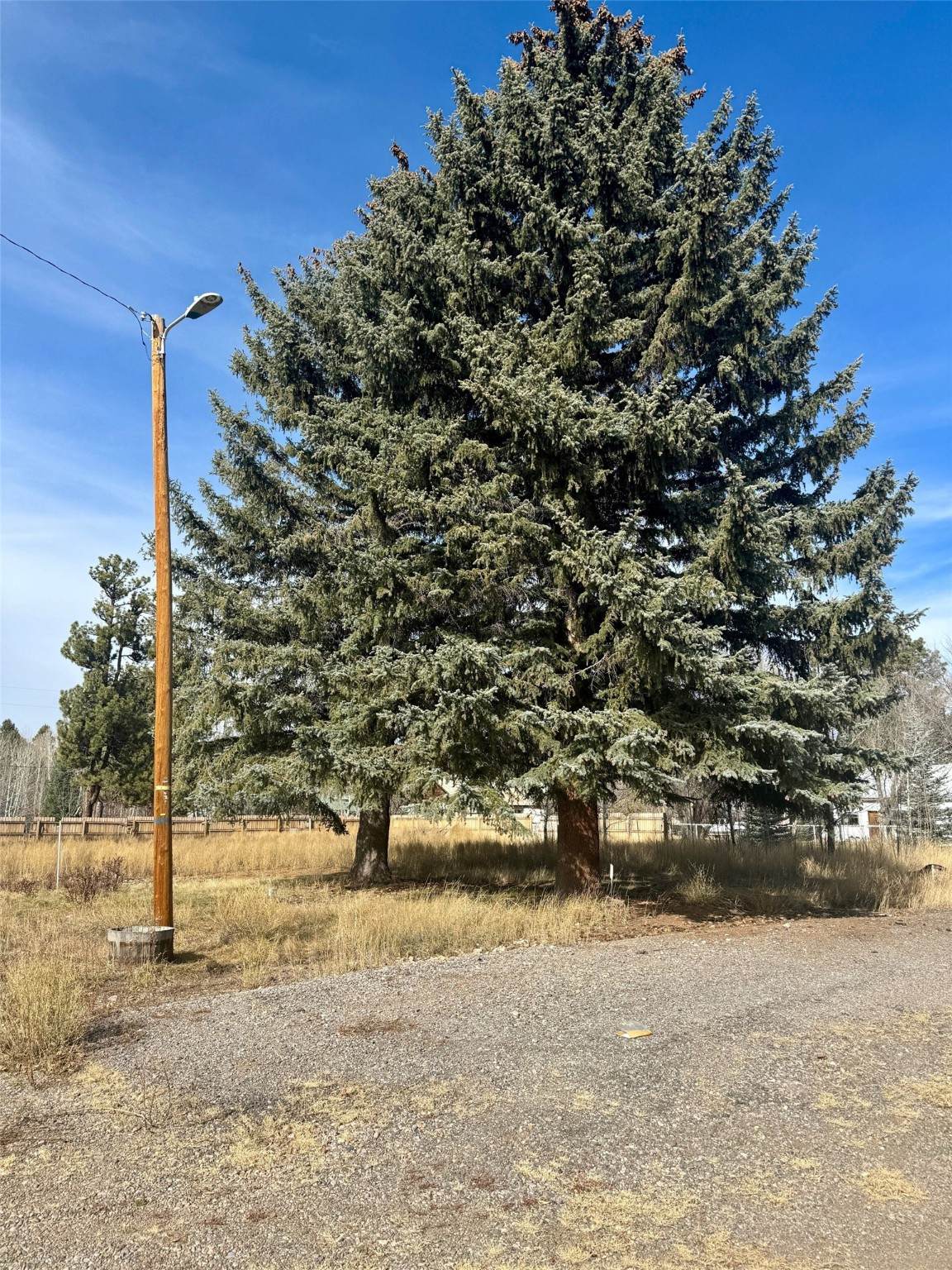 TBD Pine Avenue - Photo 1