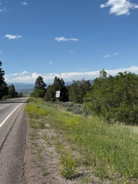 TBD Hwy 64/84 - Photo 1