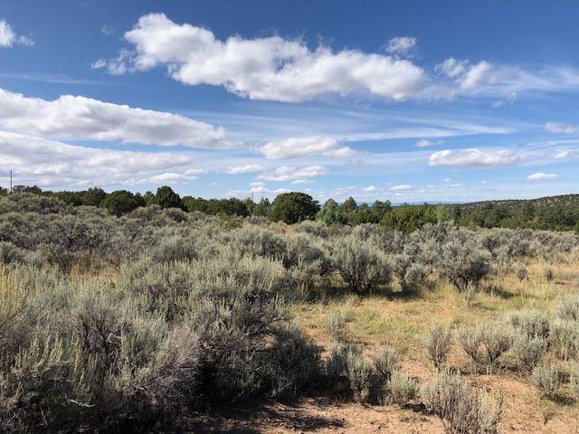 Tract F Nm 76 - Photo 1
