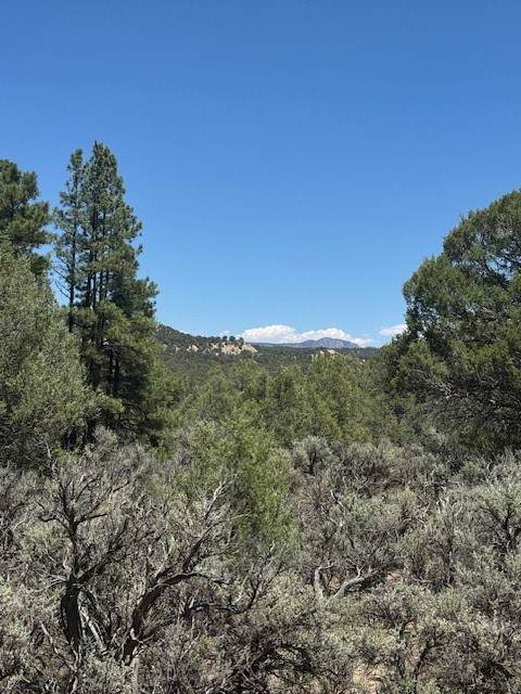 Lot 7 Unit 5 - Photo 1